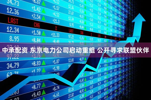 中承配资 东京电力公司启动重组 公开寻求联盟伙伴