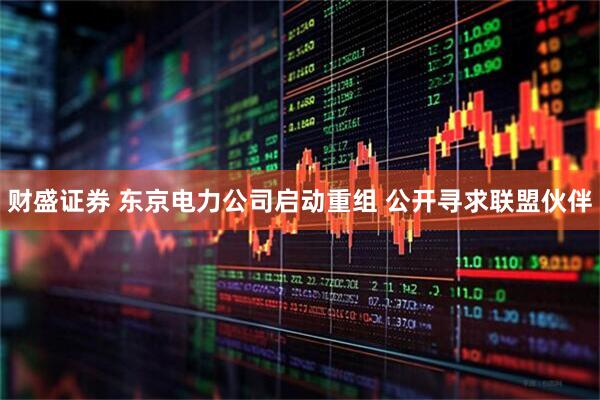 财盛证券 东京电力公司启动重组 公开寻求联盟伙伴