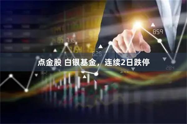 点金股 白银基金，连续2日跌停