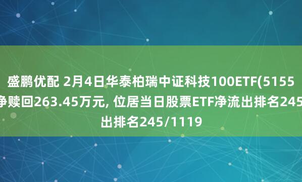 盛鹏优配 2月4日华泰柏瑞中证科技100ETF(515580)遭净赎回263.45万元, 位居当日股票ETF净流出排名245/1119