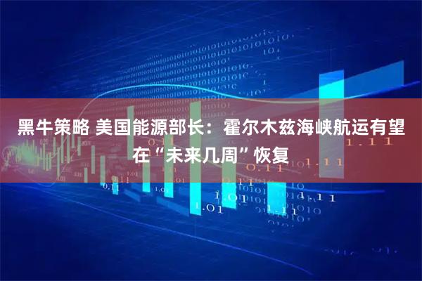 黑牛策略 美国能源部长：霍尔木兹海峡航运有望在“未来几周”恢复