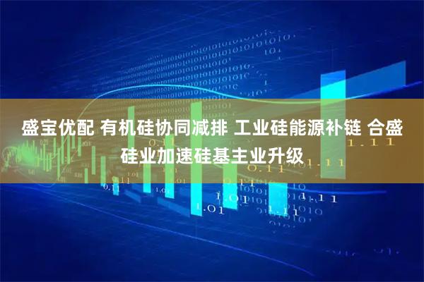 盛宝优配 有机硅协同减排 工业硅能源补链 合盛硅业加速硅基主业升级